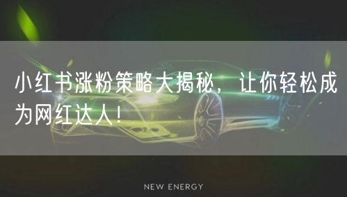 小红书涨粉策略大揭秘,让你轻松成为网红达人!